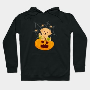 Golden Retriever Puppy in Spooky Halloween Pumpkin and Spider Web Hoodie